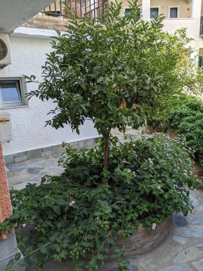 Hotel Omirico ゴウヴィア エクステリア 写真